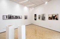 exhibitions
