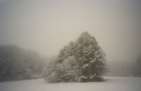 White Noise