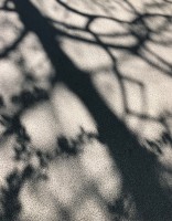 White Noise